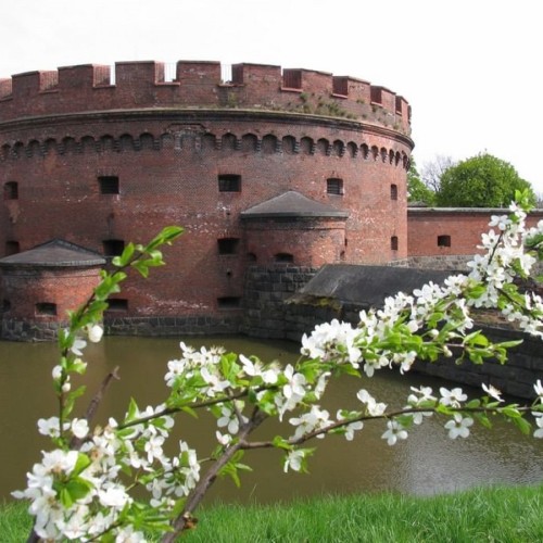 Город с богатым прошлым и перспективным будущим — по Калининграду на микроавтобусе