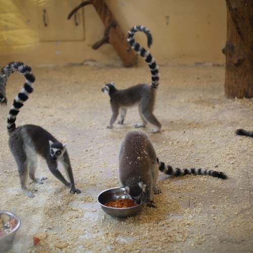 Выходные в парке «Рускеала» и городе Сортавала: 3 варианта маршрута
