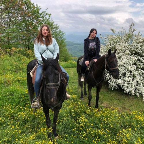 Конные прогулки для уверенных всадников: горы, море, чайные плантации и реликтовые леса Сочи