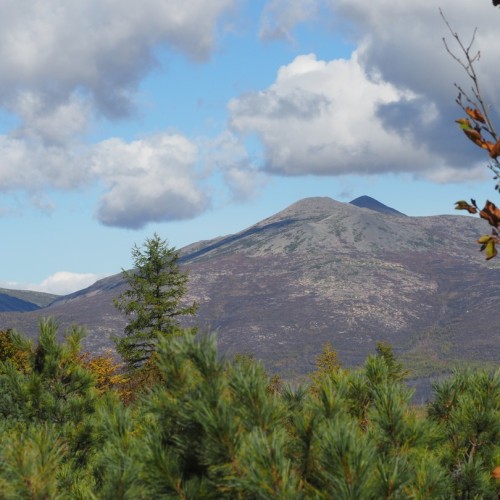 Колымские приключения: Магадан и окрестности в формате «всё включено»