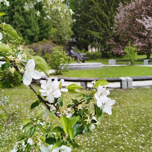 Фотопрогулка по Академгородку Новосибирска