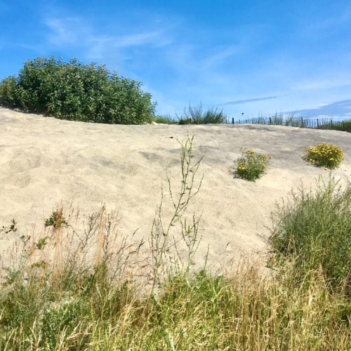 Необычные локации Калининградской области и ночь в средневековом замке