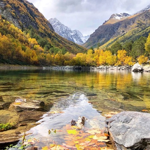 Лёгкий треккинг в горах Домбая с комфортом