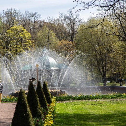 Из Санкт-Петербурга в Петергоф — к фонтанам Нижнего парка