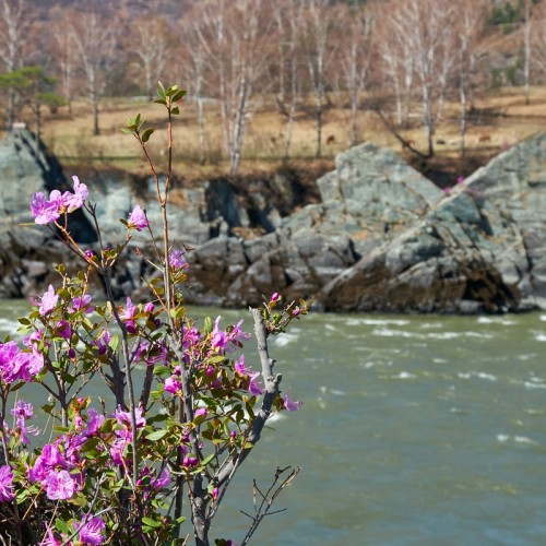 Джип-путешествие к священному озеру Манас