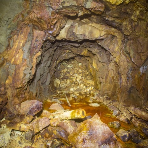 В сердце Западной Сибири: знакомство с Новосибирском, мир золота и монет и гастропрограмма