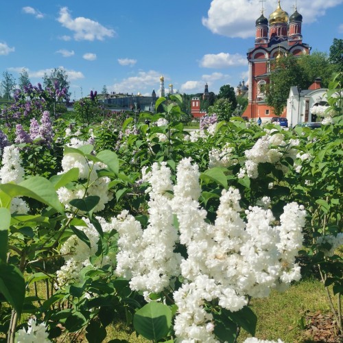 Мужские истории на женской улице