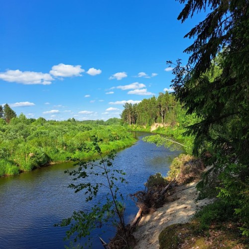 Подальше в лес: сплав на байдарках по реке Медведице
