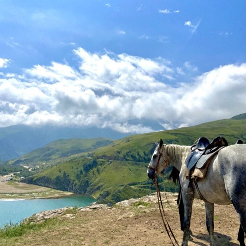 Главное на Домбае и в Кабардино-Балкарии и свободный день в Кисловодске