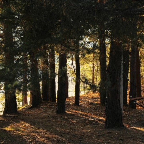 Шаляпин и Горький в Нижнем Новгороде: как они дружили, любили, кутили