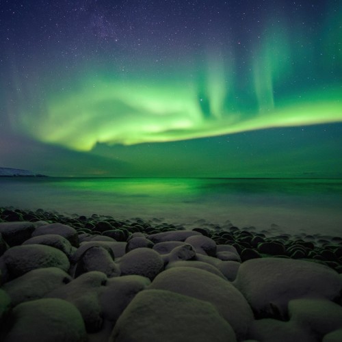 Новогодний отпуск в Териберке с праздничным ужином, арктическими блюдами и морскими деликатесами
