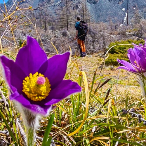 Алтай — активный: конная прогулка, лёгкий сплав и треккинг к горным озёрам + топовые локации