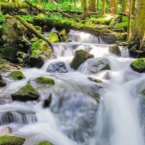 Треккинг налегке по Архызу с проживанием в гостинице