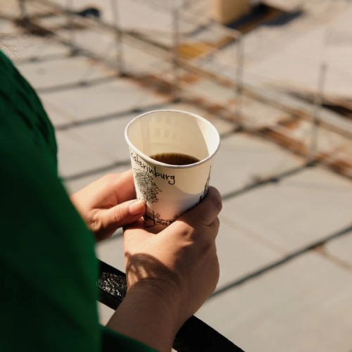 Панорама исторического Петербурга: на башню МПВО с чаепитием