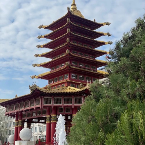 На выходные в Калмыкию: Элиста и цветущие степи