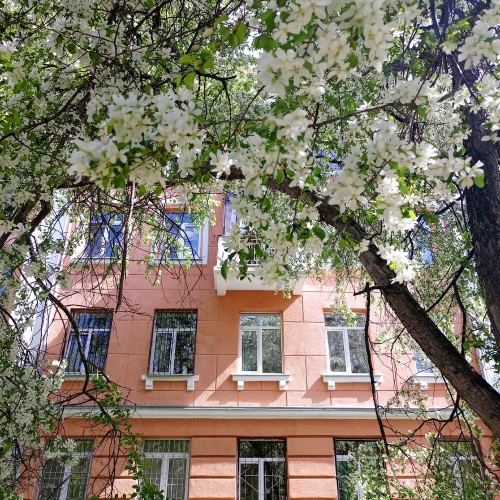Дворы и миры Уралмаша