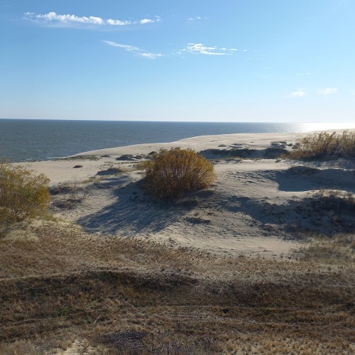 Тур-знакомство с Калининградом и окрестностями: Светлогорск, Зеленоградск, Янтарный и Балтийск