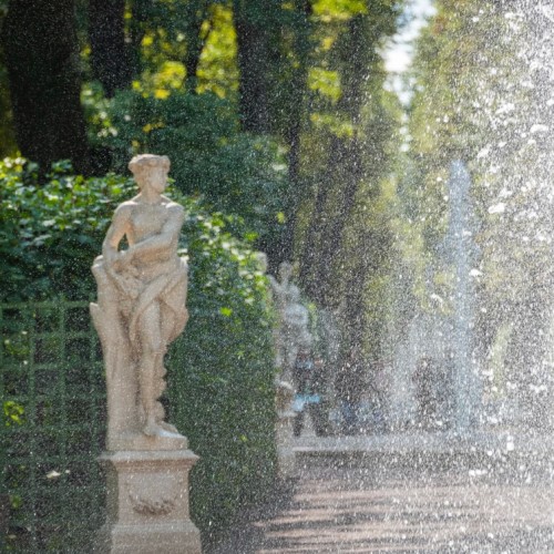 Летний сад — детям: познавательная прогулка