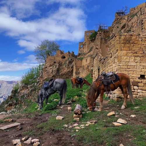 Знаковые места Чечни и Дагестана: от современного мегаполиса к древним аулам