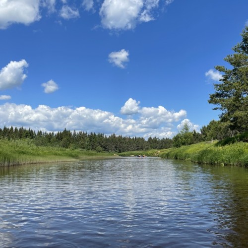 Подальше в лес: сплав на байдарках по реке Медведице