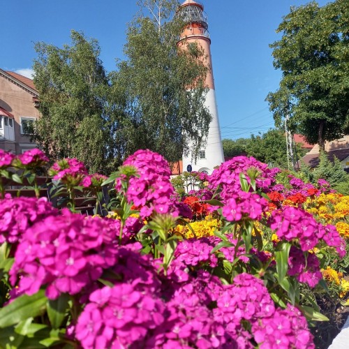 Калининградское наследие Восточной Пруссии: немецкая архитектура Раушена, Кёнигсберга, Пиллау