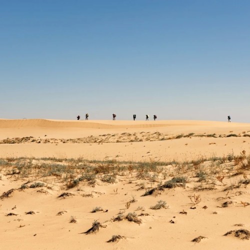 Дюны среди тайги: поход к Чарским пескам с ночёвками в палатках на природе