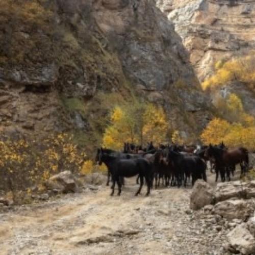 Приключения среди Кавказских гор: от плато Бермамыт до Чегемских водопадов