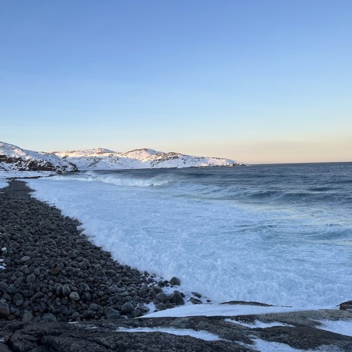 Экспресс-тур по Арктике в мини-группе: Териберка, северное сияние, гастрономия, хаски и олени