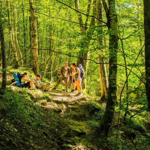Запах разнотравья и никого вокруг: поход с рюкзаками по долине реки Пшада (всё включено)