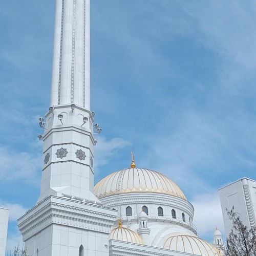 Из Нальчика — в Грозный, Шали и Аргун