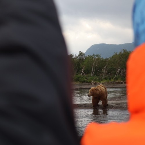 Камчатка в мини-группе: перевалы, бухты, сопки и купание в природных источниках