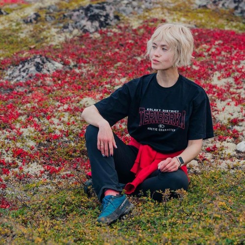 За атмосферой Арктики: тур из Мурманска в Териберку с дегустацией и прогулками по главным местам