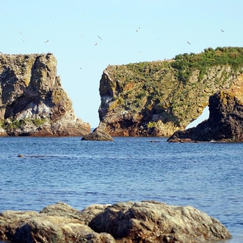 Чарующий Сахалин: Охотское море и мыс Великан