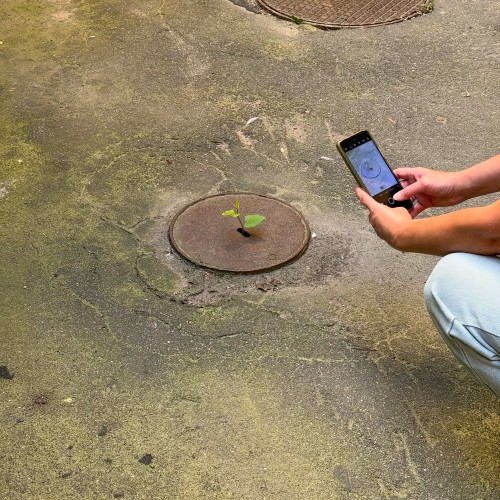 По Васильевскому с островитянином!