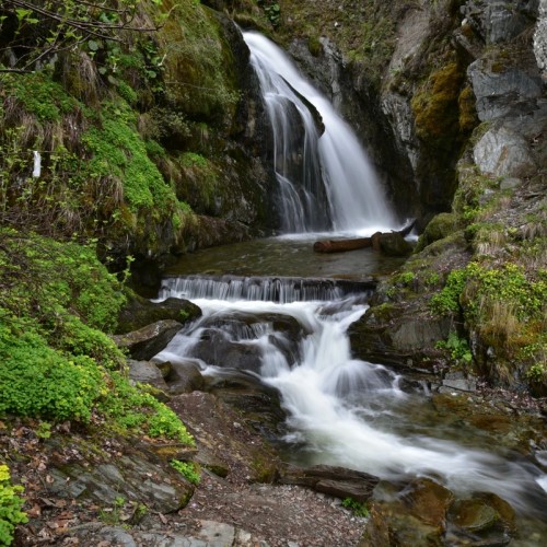 Из Горно-Алтайска в посёлок Яйлю и на Телецкое озеро — на катере