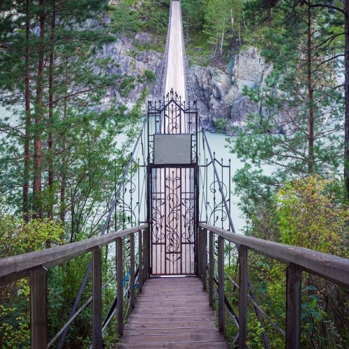 Чемал: всё самое интересное за 1 день!