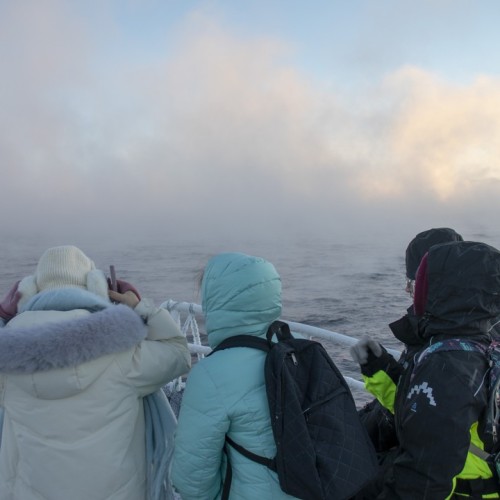 На Кольский в поисках китов и дельфинов мини-группой