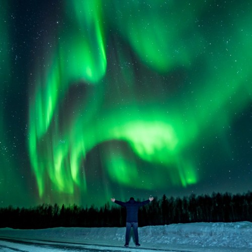 Сияние, киты и ты: Арктика с айс-флоатингом и этнопрограммой, выходом в море и посещением Териберки