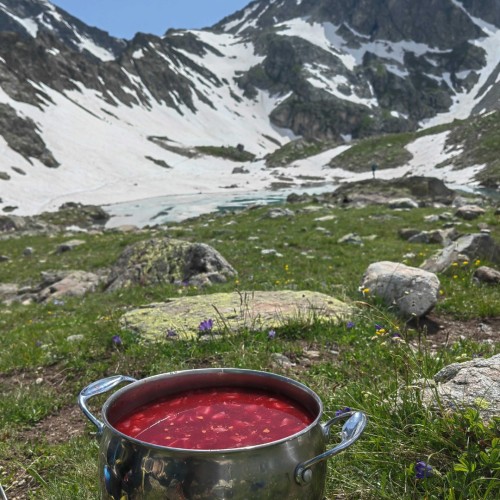 Если с другом вышел в путь: треккинги в Архызе в компании маламута (в мини-группе)