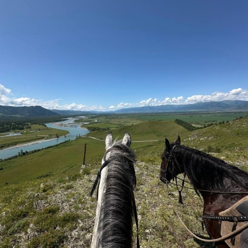 Бороздим просторы Алтая верхом: активный тур для опытных всадников с фотосъёмкой