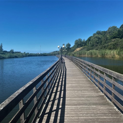 Перезагрузка в экоотеле на побережье Балтики и экскурсия по Янтарному