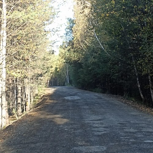 Конная прогулка по лесу близ Екатеринбурга