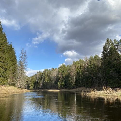 Очарование Медведицы: лёгкий сплав на байдарках (всё включено)