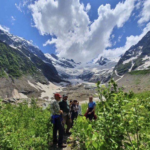Лёгкий треккинг в горах Домбая с комфортом
