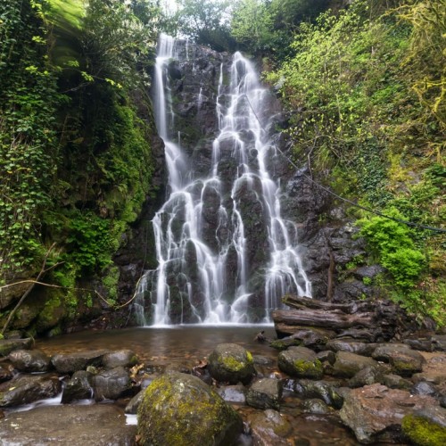 Путешествие из Махачкалы: от Тбилиси до Батуми