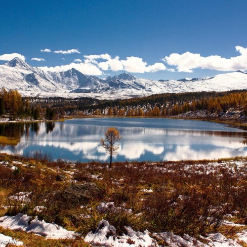Зов диких троп: Алтай на джипах, квадроциклах и лошадях в мини-группе (всё включено)