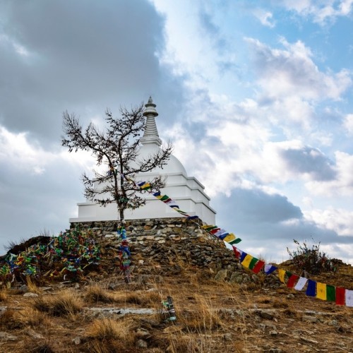 Кедровый аромат и лёгкость бытия: лучшие бани, спа-отель и винный вечер