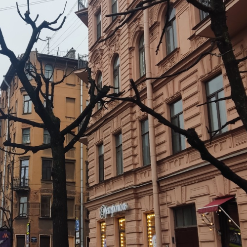 Мобильный квест в Петербурге «Записки сумасшедшего, или Возвращение Маяковского»