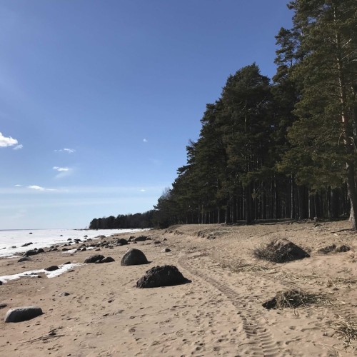 Из Санкт-Петербурга — в заброшенный форт на берегу Финского залива