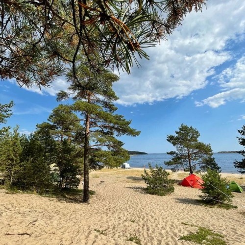 Из Петербурга — на хайкинг по острову Койонсаари